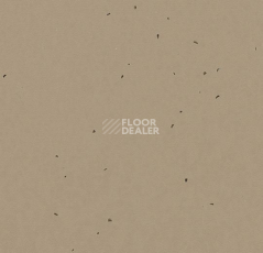 Линолеум Forbo Sphera Energetic 50209 nutmeg фото 1 | FLOORDEALER